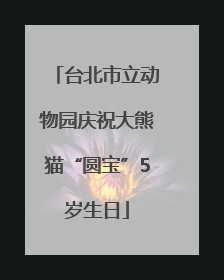 台北市立动物园庆祝大熊猫“圆宝”5岁生日