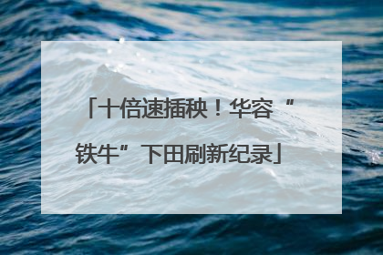 十倍速插秧！华容“铁牛”下田刷新纪录