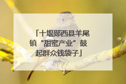 十堰郧西县羊尾镇“甜蜜产业”鼓起群众钱袋子