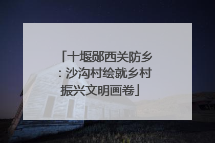 十堰郧西关防乡：沙沟村绘就乡村振兴文明画卷