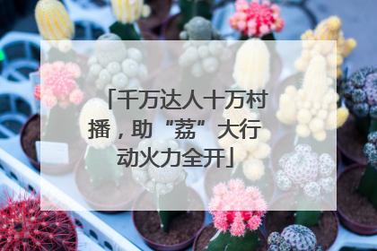千万达人十万村播，助“荔”大行动火力全开
