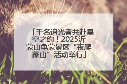 千名追光者共赴星空之约！2025沂蒙山龟蒙景区“夜爬蒙山”活动举行