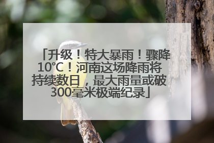 升级！特大暴雨！骤降10℃！河南这场降雨将持续数日，最大雨量或破300毫米极端纪录
