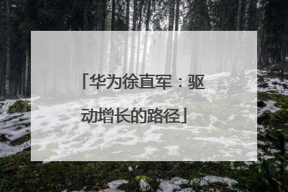 华为徐直军：驱动增长的路径