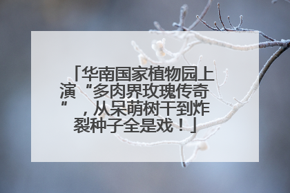 华南国家植物园上演“多肉界玫瑰传奇”，从呆萌树干到炸裂种子全是戏！
