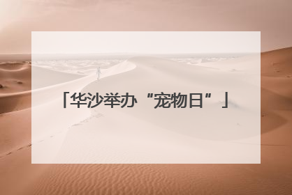 华沙举办“宠物日”