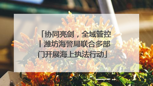 协同亮剑，全域管控丨潍坊海警局联合多部门开展海上执法行动
