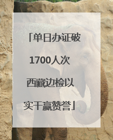 单日办证破1700人次 西藏边检以实干赢赞誉