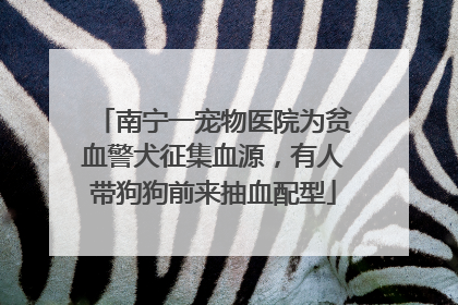 南宁一宠物医院为贫血警犬征集血源，有人带狗狗前来抽血配型