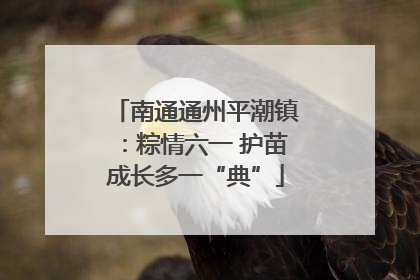 南通通州平潮镇：粽情六一 护苗成长多一“典”