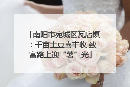 南阳市宛城区瓦店镇：千亩土豆喜丰收 致富路上迎“薯”光
