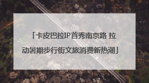 卡皮巴拉IP首秀南京路 拉动暑期步行街文旅消费新热潮