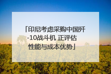 印尼考虑采购中国歼-10战斗机 正评估性能与成本优势
