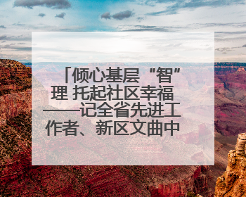 倾心基层“智”理 托起社区幸福——记全省先进工作者、新区文曲中心社区党委书记董世弘