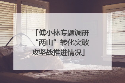 傅小林专题调研“两山”转化突破攻坚战推进情况