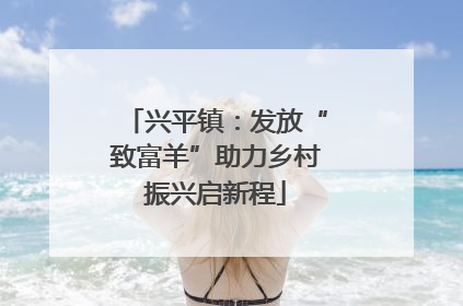 兴平镇：发放“致富羊”助力乡村振兴启新程