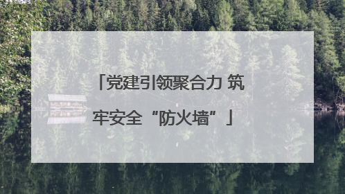 党建引领聚合力 筑牢安全“防火墙”
