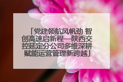 党建领航风帆劲 智创高速启新程—陕西交控延定分公司多维深耕赋能运营管理新跨越