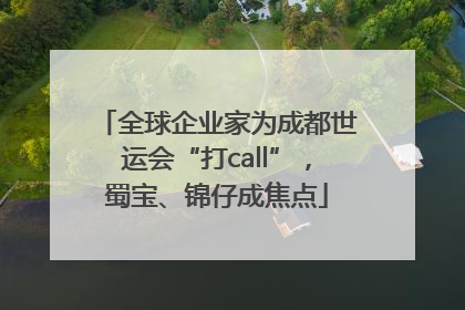 全球企业家为成都世运会“打call”，蜀宝、锦仔成焦点