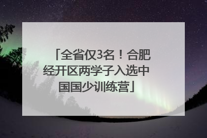全省仅3名！合肥经开区两学子入选中国国少训练营