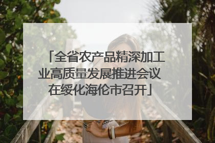 全省农产品精深加工业高质量发展推进会议在绥化海伦市召开