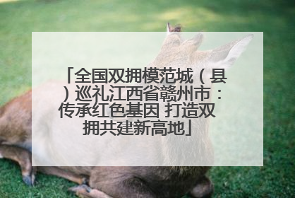 全国双拥模范城（县）巡礼江西省赣州市：传承红色基因 打造双拥共建新高地
