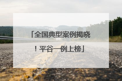全国典型案例揭晓！平谷一例上榜