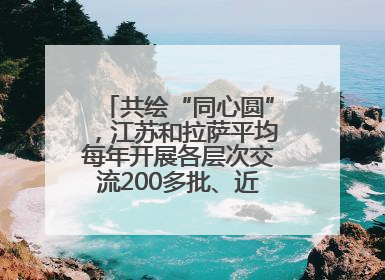 共绘“同心圆”，江苏和拉萨平均每年开展各层次交流200多批、近2000人次