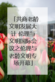 共商老龄文明发展大计 伦理与文明国际会议之伦理与老龄文明专场开幕