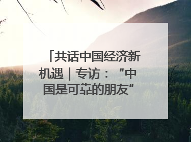 共话中国经济新机遇｜专访：“中国是可靠的朋友”——访马来西亚种植及原产业部副部长陈泓缣