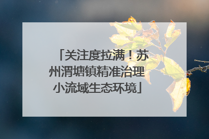 关注度拉满！苏州渭塘镇精准治理小流域生态环境