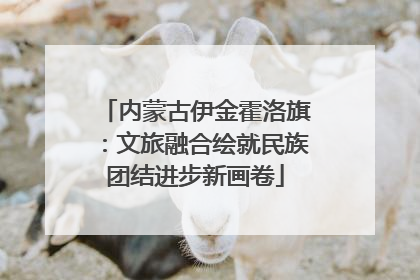 内蒙古伊金霍洛旗：文旅融合绘就民族团结进步新画卷