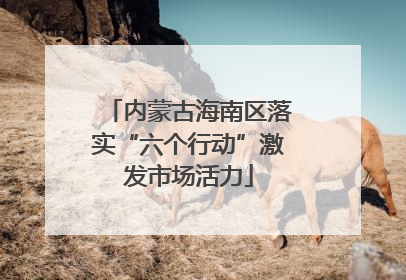 内蒙古海南区落实“六个行动”激发市场活力