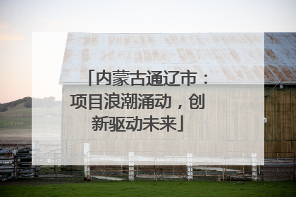 内蒙古通辽市：项目浪潮涌动，创新驱动未来