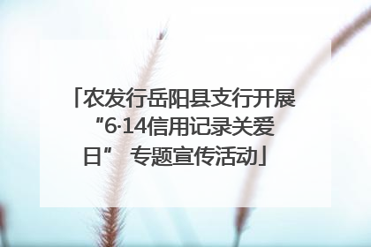 农发行岳阳县支行开展“6·14信用记录关爱日” 专题宣传活动