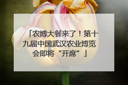 农博大餐来了！第十九届中国武汉农业博览会即将“开席”