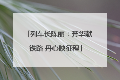 列车长陈丽：芳华献铁路 丹心映征程
