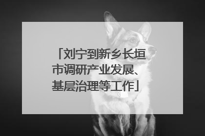 刘宁到新乡长垣市调研产业发展、基层治理等工作