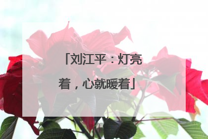 刘江平：灯亮着，心就暖着