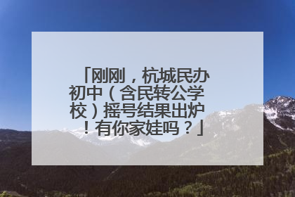 刚刚，杭城民办初中（含民转公学校）摇号结果出炉！有你家娃吗？
