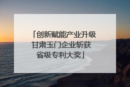 创新赋能产业升级 甘肃玉门企业斩获省级专利大奖