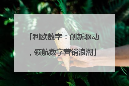 利欧数字：创新驱动，领航数字营销浪潮