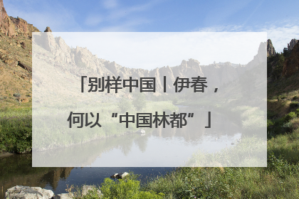 别样中国丨伊春，何以“中国林都”