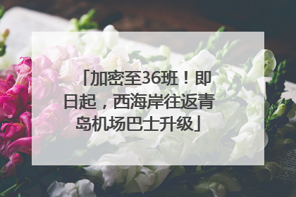 加密至36班！即日起，西海岸往返青岛机场巴士升级