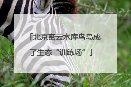 北京密云水库鸟岛成了生态“训练场”