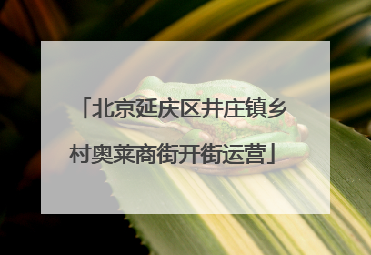 北京延庆区井庄镇乡村奥莱商街开街运营