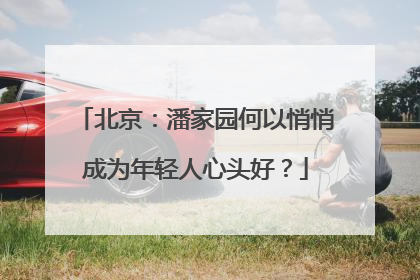 北京：潘家园何以悄悄成为年轻人心头好？