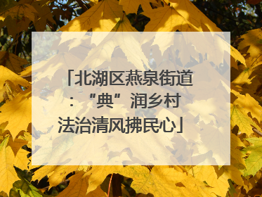 北湖区燕泉街道：“典”润乡村 法治清风拂民心