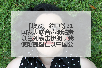 埃及、约旦等21国发表联合声明谴责以色列袭击伊朗，我使馆提醒在以中国公民尽快陆路离境