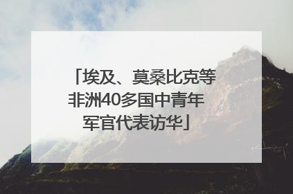 埃及、莫桑比克等非洲40多国中青年军官代表访华